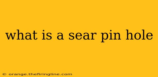 what is a sear pin hole