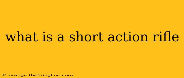 what is a short action rifle