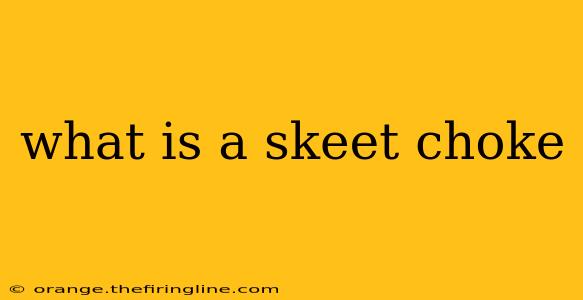 what is a skeet choke