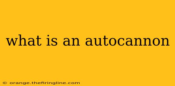 what is an autocannon