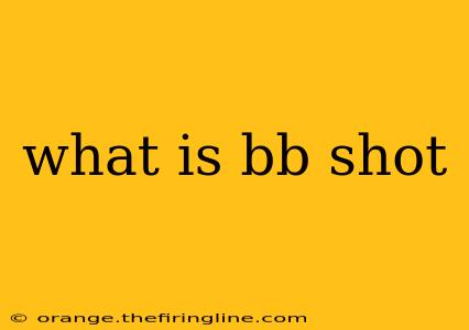 what is bb shot