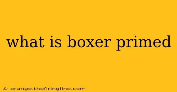 what is boxer primed