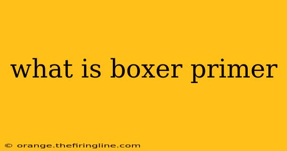 what is boxer primer