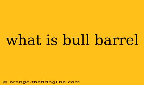 what is bull barrel