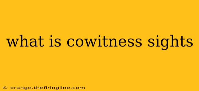 what is cowitness sights