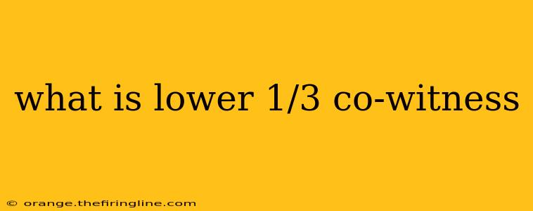 what is lower 1/3 co-witness