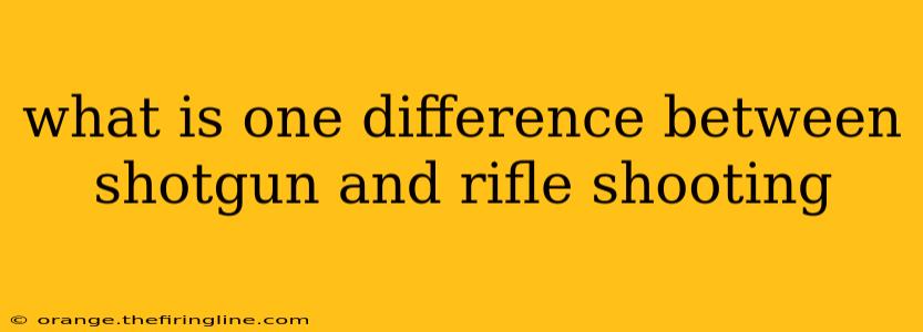 what is one difference between shotgun and rifle shooting