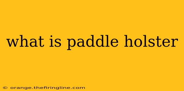 what is paddle holster