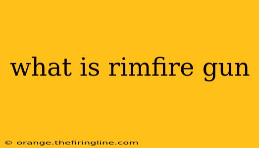 what is rimfire gun