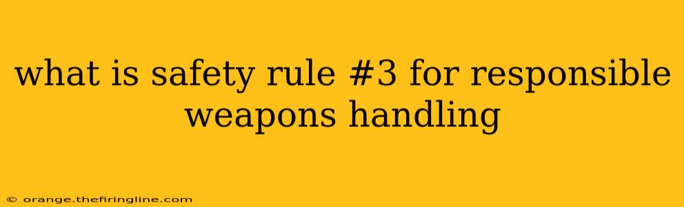 what is safety rule #3 for responsible weapons handling