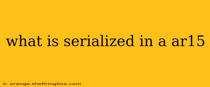 what is serialized in a ar15