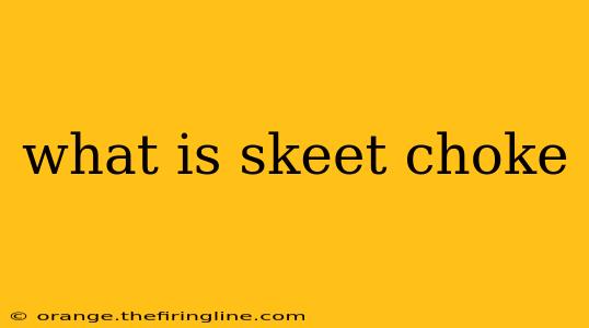 what is skeet choke