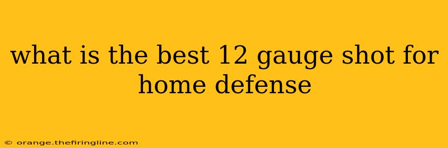 what is the best 12 gauge shot for home defense