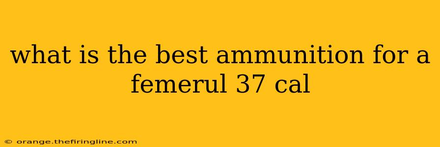 what is the best ammunition for a femerul 37 cal