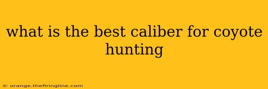 what is the best caliber for coyote hunting