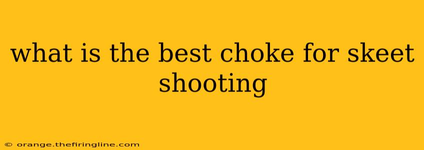 what is the best choke for skeet shooting