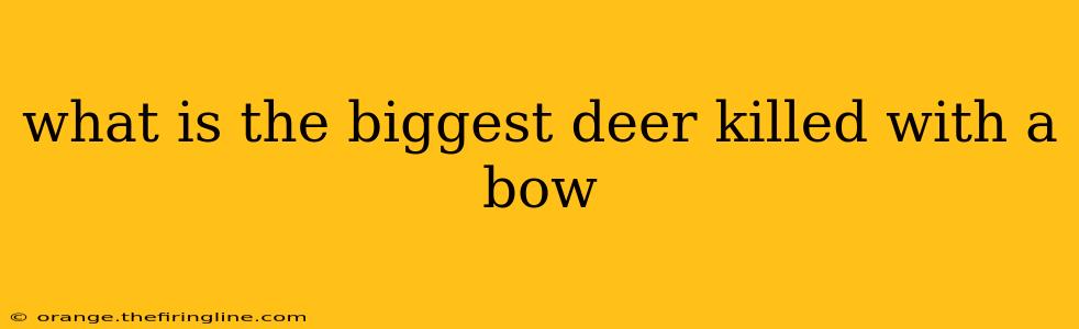 what is the biggest deer killed with a bow