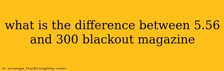 what is the difference between 5.56 and 300 blackout magazine