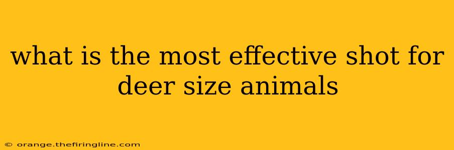 what is the most effective shot for deer size animals