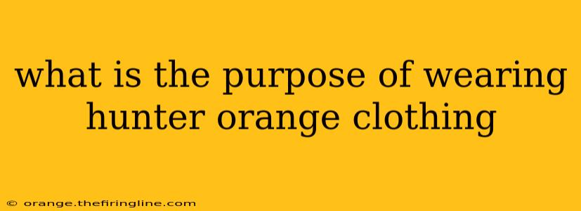 what is the purpose of wearing hunter orange clothing