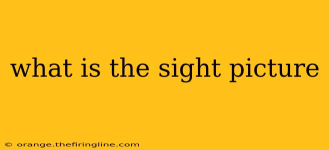 what is the sight picture