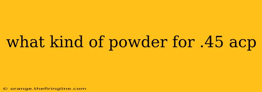 what kind of powder for .45 acp