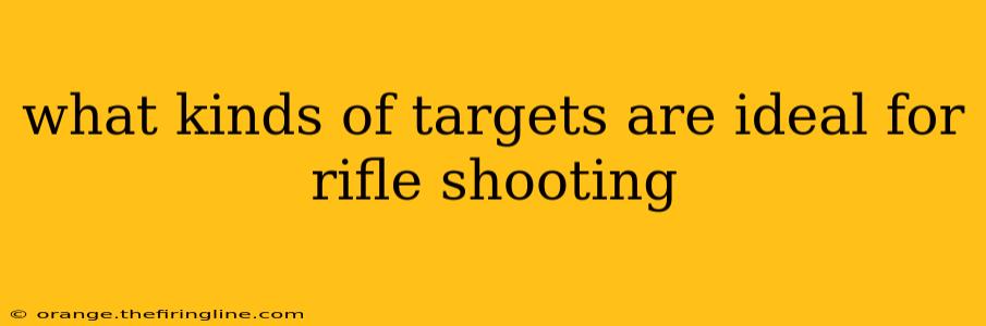 what kinds of targets are ideal for rifle shooting