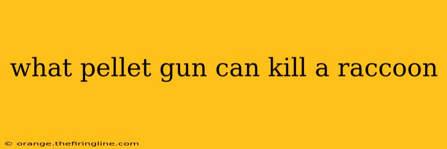 what pellet gun can kill a raccoon