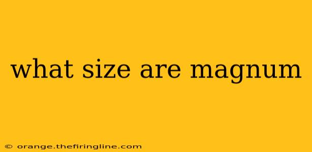 what size are magnum