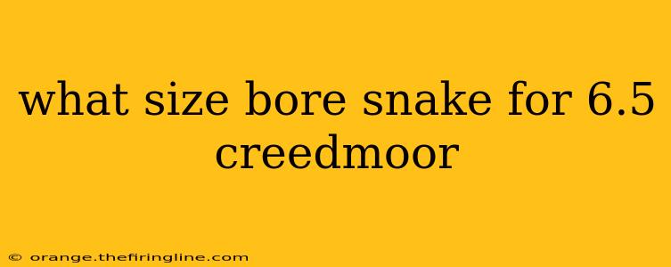 what size bore snake for 6.5 creedmoor