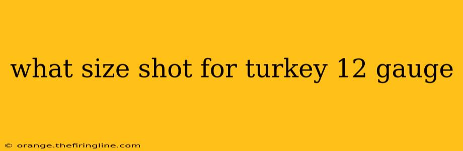 what size shot for turkey 12 gauge