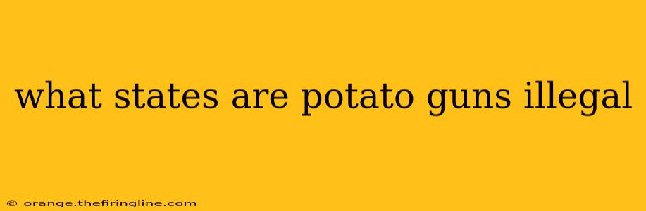 what states are potato guns illegal