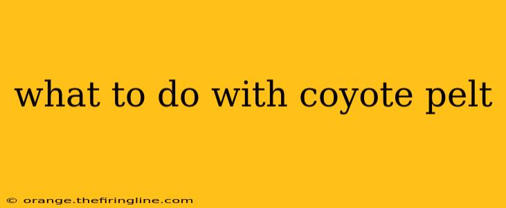 what to do with coyote pelt