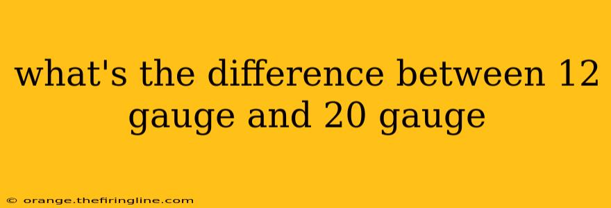 what's the difference between 12 gauge and 20 gauge