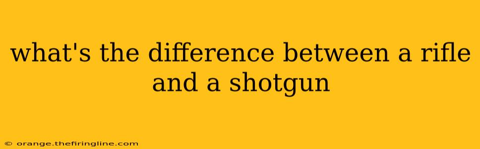 what's the difference between a rifle and a shotgun