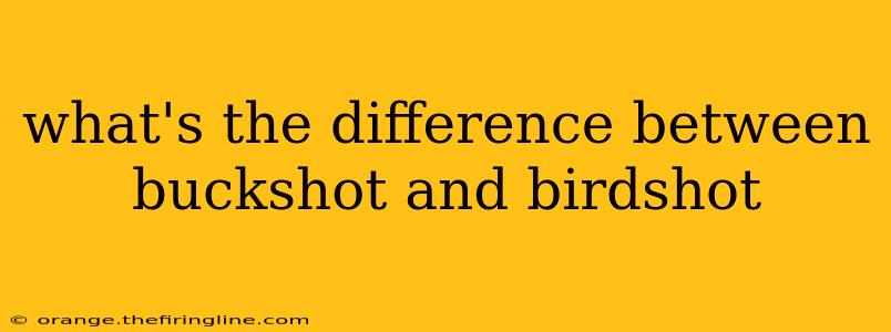 what's the difference between buckshot and birdshot