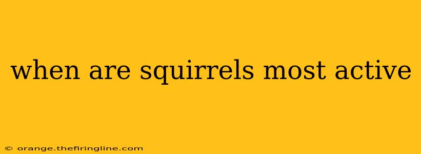 when are squirrels most active