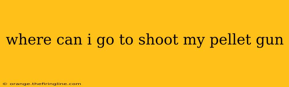 where can i go to shoot my pellet gun