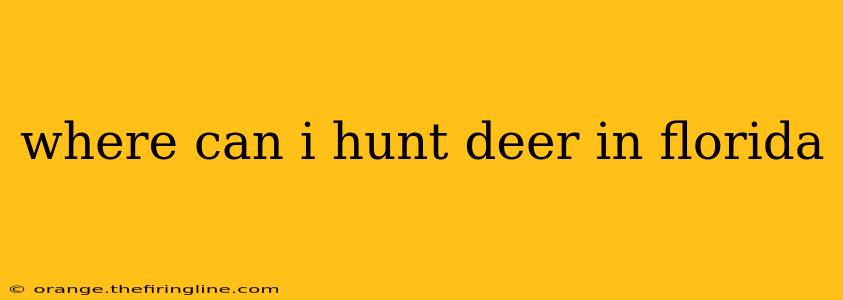 where can i hunt deer in florida