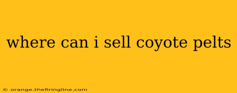 where can i sell coyote pelts