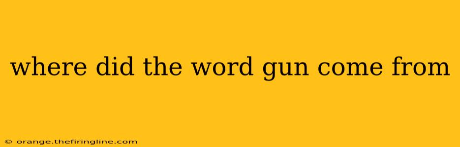 where did the word gun come from