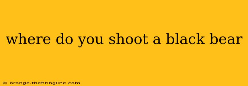 where do you shoot a black bear