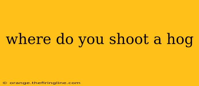 where do you shoot a hog