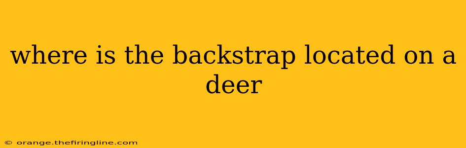 where is the backstrap located on a deer