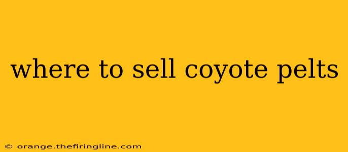 where to sell coyote pelts