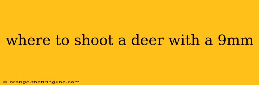 where to shoot a deer with a 9mm