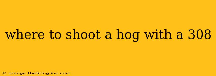 where to shoot a hog with a 308