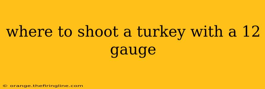 where to shoot a turkey with a 12 gauge