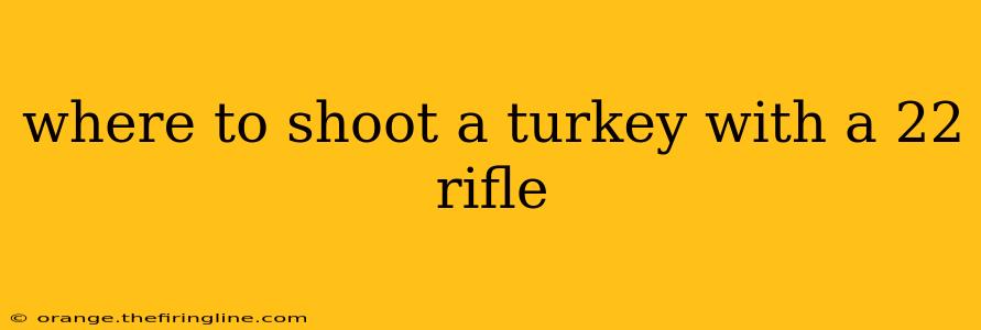 where to shoot a turkey with a 22 rifle