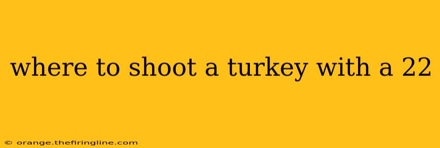 where to shoot a turkey with a 22